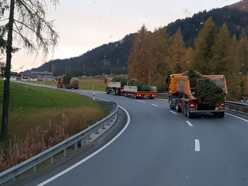 Kündig Baumschulen AG, Baumtransport nach Davos